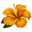 JBEY logo